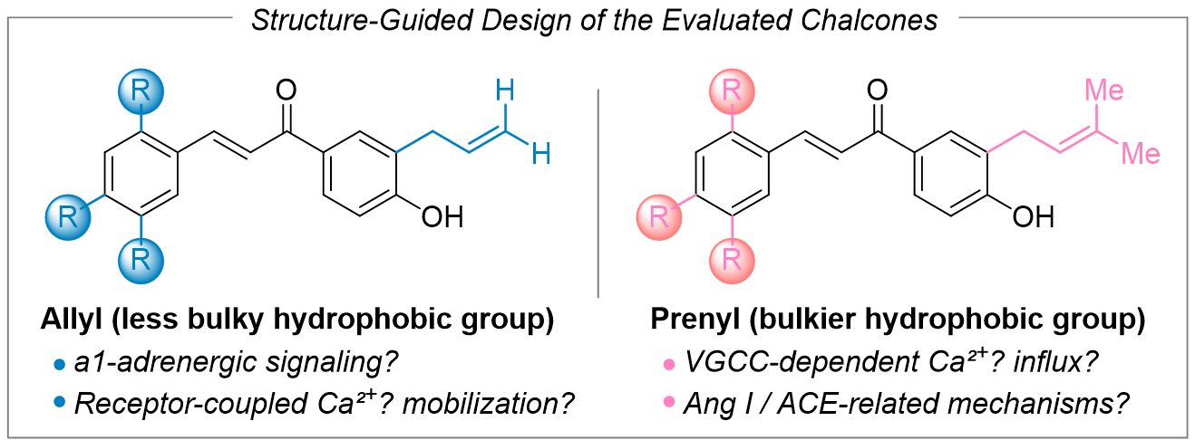 Graphical abstract