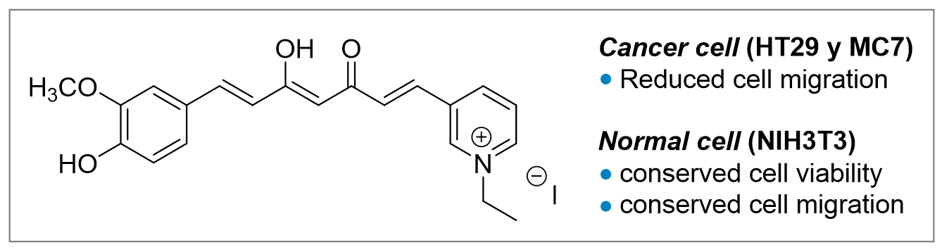 Graphical abstract