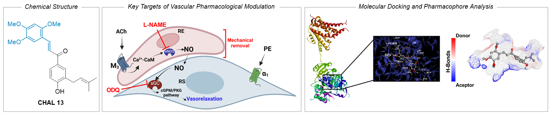 Graphical abstract
