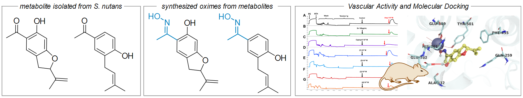 Graphical abstract