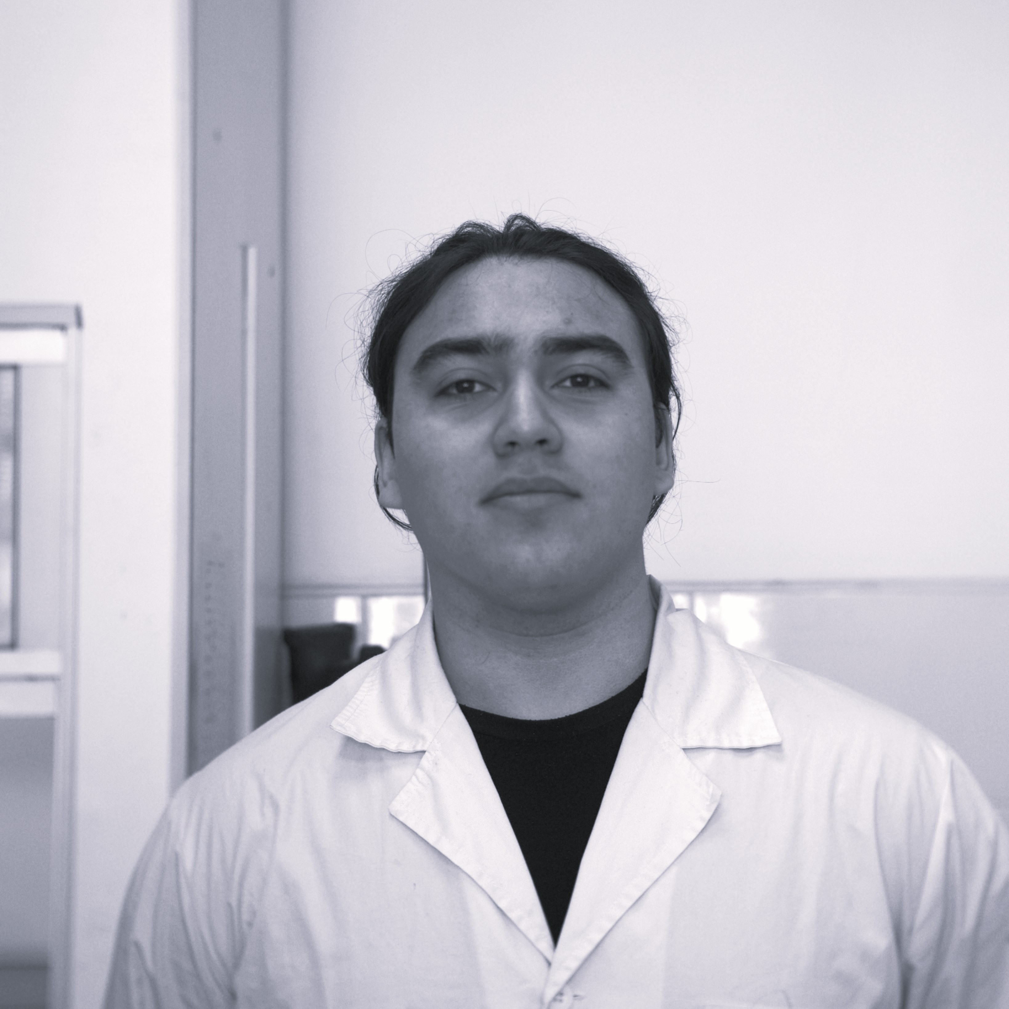 Moises Vallejos
