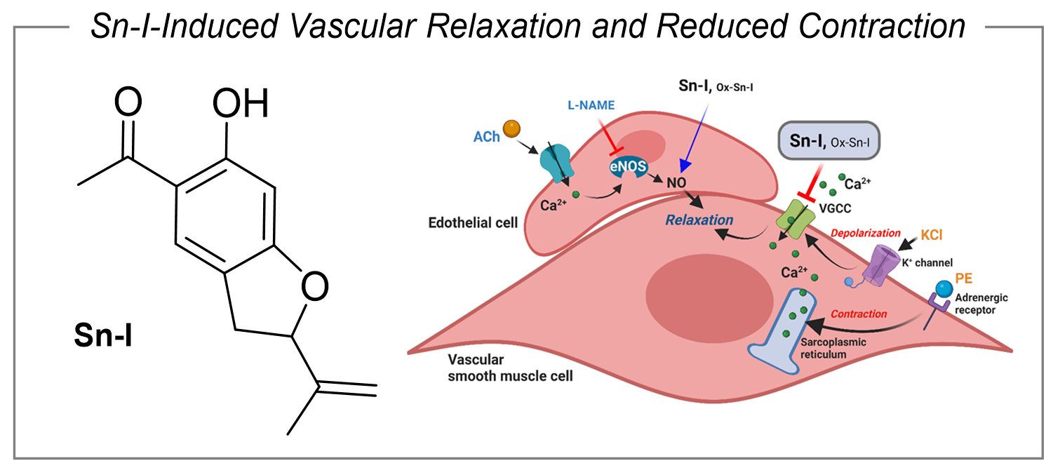 Graphical abstract